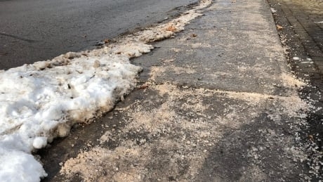 Use less road salt to protect Ontario ecosystem, urges WWF