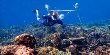Putting loudspeakers in the ocean can help coral reefs, says marine biologist