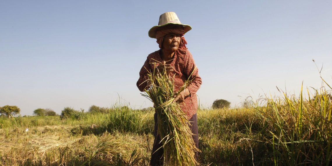 UN: Nearly a half-billion in Asia-Pacific still going hungry