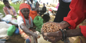 UN says Zimbabwe’s cash shortage hurts aid delivery efforts