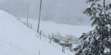 Most customers’ power restored after NYE storm, 35 remain in the dark