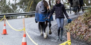 ‘Welcome to our mess’: Monroe-area community grappling with crumbling road