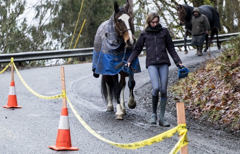 ‘Welcome to our mess’: Monroe-area community grappling with crumbling road