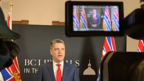 B.C. Liberals pressure province to help condo owners hit by skyrocketing strata insurance