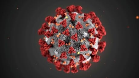 2 presumptive cases of coronavirus confirmed in B.C., bringing total to 4
