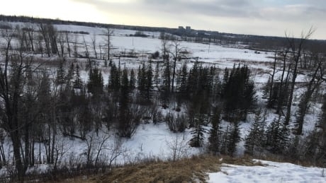 Police investigate 2nd random attack in a south Calgary park