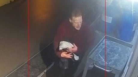 Suspect in botched Vancouver float plane theft captured in surveillance footage