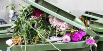 How to give an environmentally friendly afterlife to your Valentine’s Day bouquet