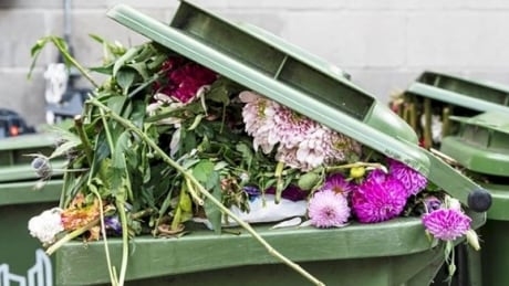 How to give an environmentally friendly afterlife to your Valentine’s Day bouquet