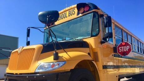 Some B.C. school buses to get seatbelts as part of federal pilot project