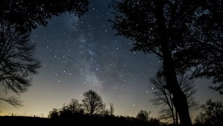 Astronomers want you to help them count the stars this Valentine’s Day