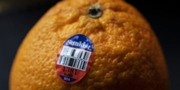 How produce stickers contribute to climate change