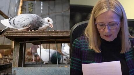 ‘There’s a lot of grey area’: How Metro Van politicians try to avoid conflict of interest controversies