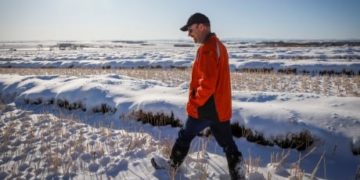 ‘Punishment’ or procedure? Pessimism lingers over efforts to lift China’s canola ban