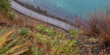 Alberta tourist dies after fall from 70 metre cliff in Vancouver’s Stanley Park