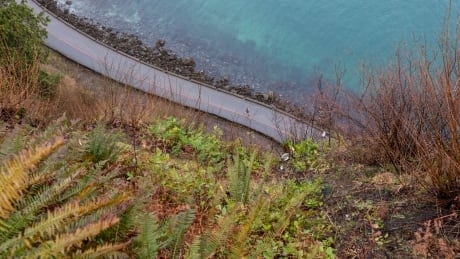 Alberta tourist dies after fall from 70 metre cliff in Vancouver’s Stanley Park