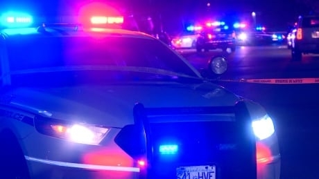 B.C. woman allegedly rammed RCMP cruiser, narrowly missed officer