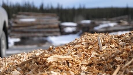 Burning biomass in N.S. will speed up the climate crisis, warns MIT prof