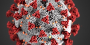 Your push against COVID-19