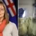 Here are the latest COVID-19 statistics for Alberta — and what they mean