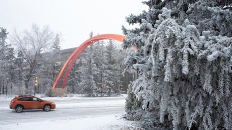 University of Calgary offers students choice when it comes to final grades during pandemic
