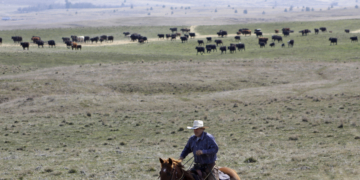 Counties without coronavirus are mostly rural, poor