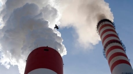 Citing pandemic, Alberta suspends environmental reporting rules