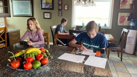 Coronavirus has forced Albertans online but rural communities are feeling left behind