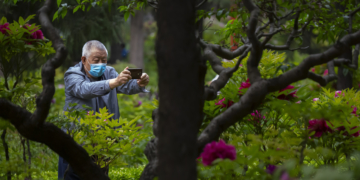 Asia Today: China reports 11 new virus cases, no deaths