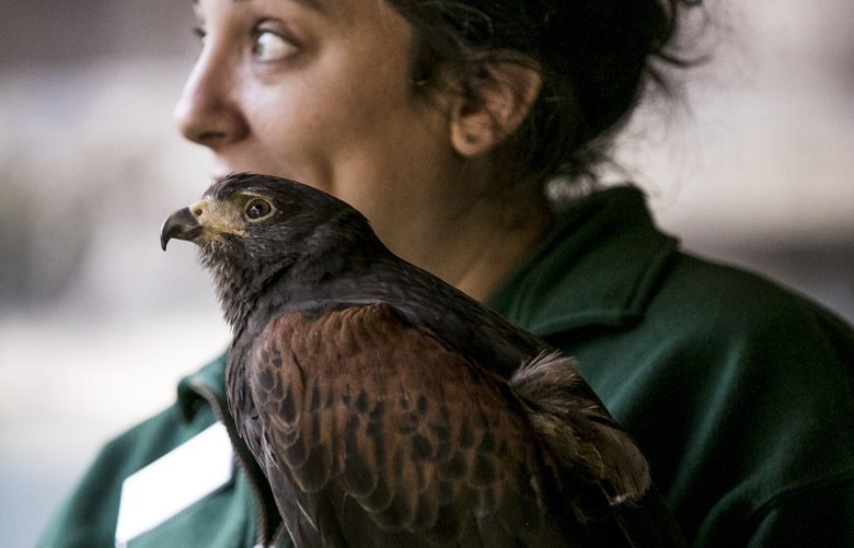 A look inside Seattle’s Woodland Park Zoo during the coronavirus shutdown