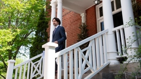 Why the PM’s daily briefings have worked — and why we might see fewer of them soon