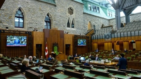 The pandemic could be an opening to build a better Parliament