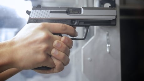 Statistics Canada to collect data on origins of guns used in crime