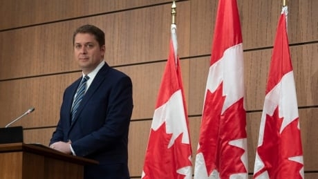 Scheer calls for House to return LIVE