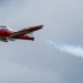 Canadian Forces Snowbirds jet crashes in Kamloops, B.C.