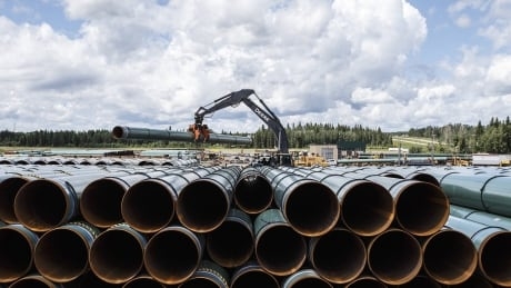 Limits on gatherings make it a ‘great time to be building a pipeline,’ says Alberta energy minister