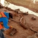 In Mexico City, experts find bones of dozens of mammoths