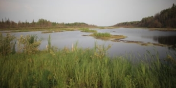 Appeal court reverses rare advance cost award to Alberta First Nation