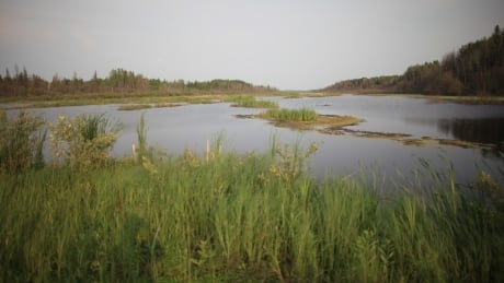 Appeal court reverses rare advance cost award to Alberta First Nation