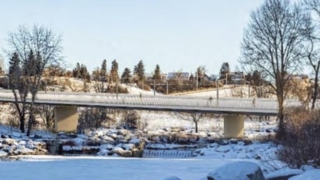 Calgary council unites after weeks of Green Line acrimony