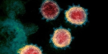 Alberta records 48 new cases of COVID-19 and no additional deaths