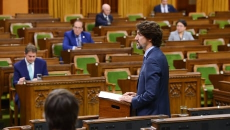 Liberals detail changes to COVID-19 aid as they ask MPs to OK new spending