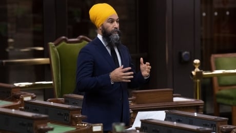 NDP Leader Jagmeet Singh booted from Commons for calling Bloc MP a racist