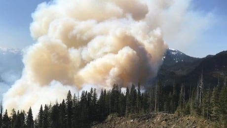 Number of wildfires, hectares burned in B.C. so far ‘significantly’ down over 10-year average