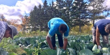 Migrant worker who died on Ontario farm identified as Mexican father of four