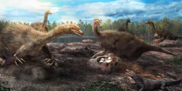 Why so few fossilized dinosaur eggs? Because many were squishy, not hard, study suggests