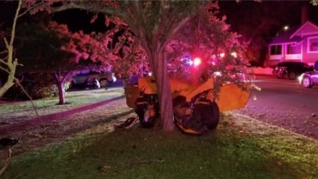 Driver with ‘N’ licence crashes vehicle, injuring passenger, say Oak Bay police