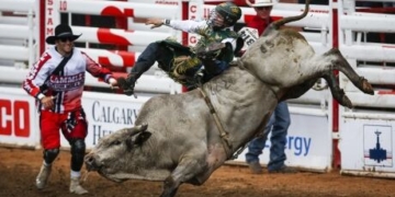 Mouths to feed, no money coming in; rodeo stock contractors feel pandemic pain