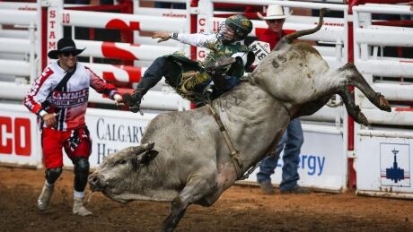 Mouths to feed, no money coming in; rodeo stock contractors feel pandemic pain