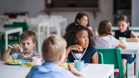 Education minister endorses push for more Black history curriculum in B.C. schools